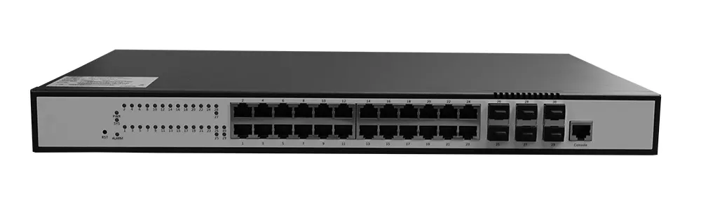switch 10gb 24 port interface